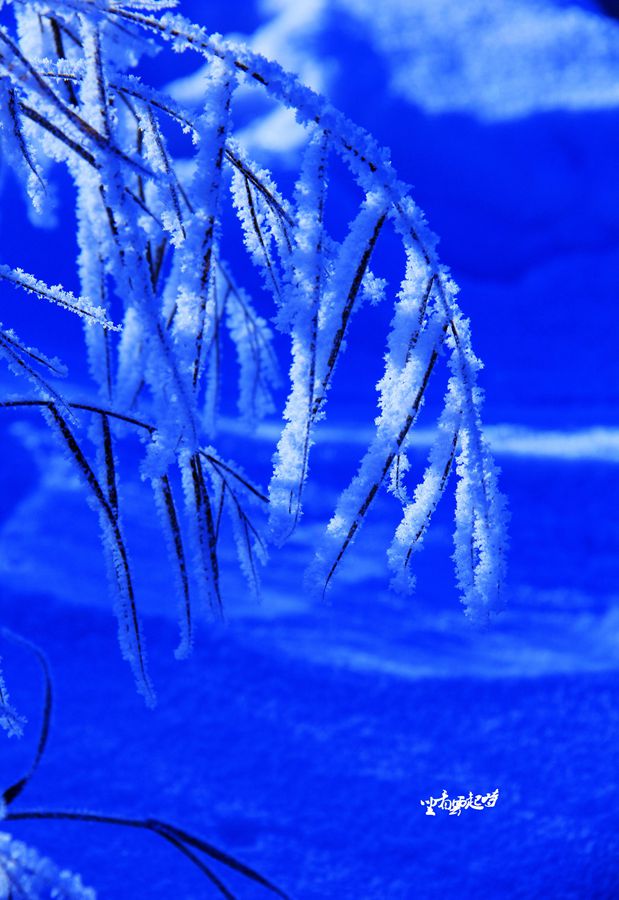 冰雪8.jpg