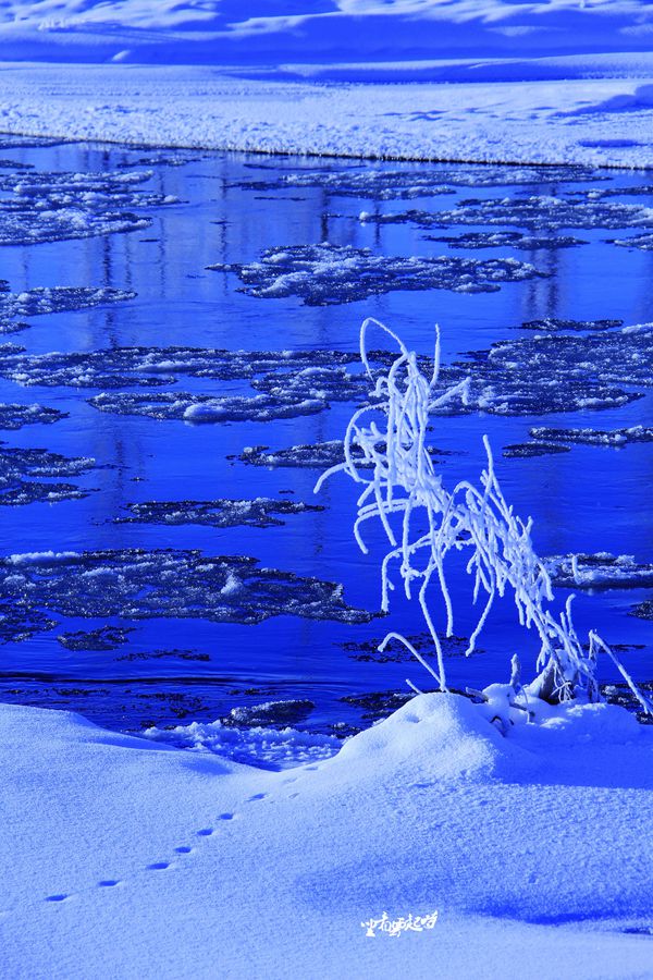 冰雪6.jpg