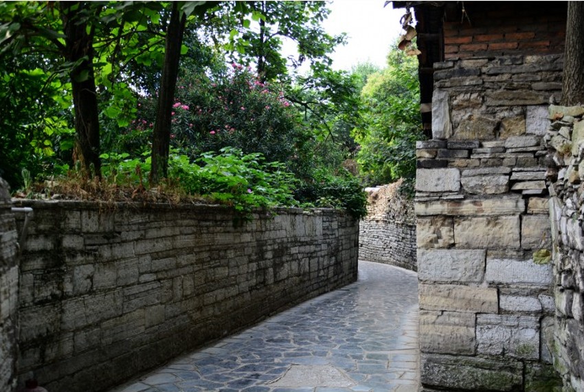 DSC_0363_conew2.jpg