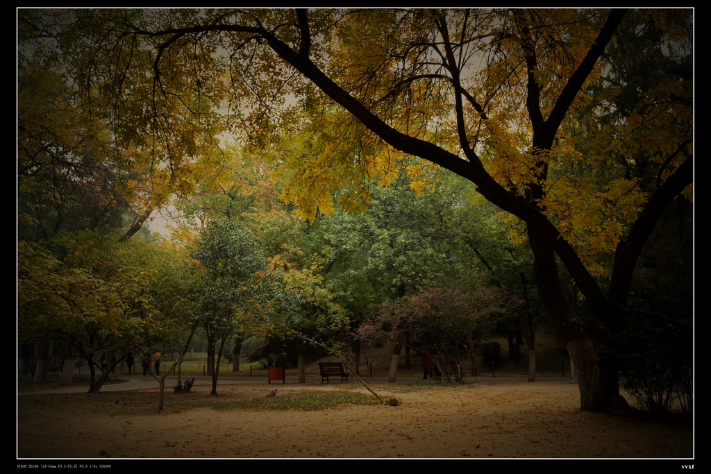DSC_0027a.jpg