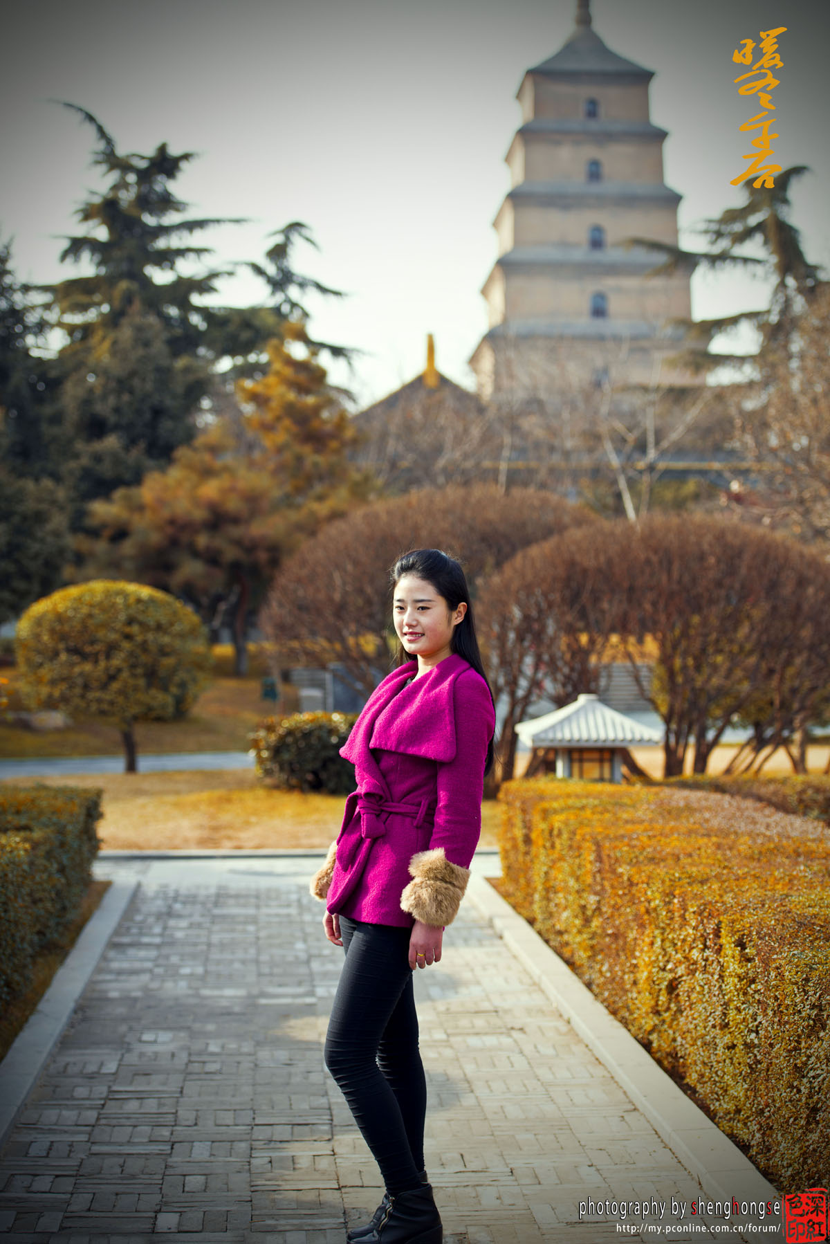 DSC_1637 (2).jpg