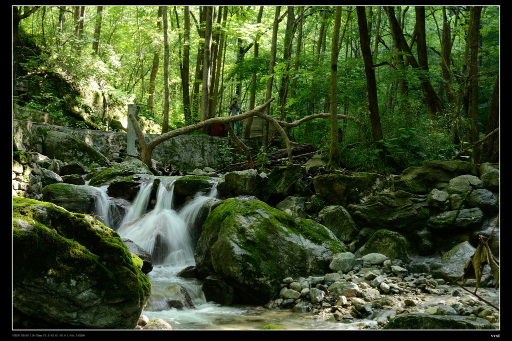 DSC_0156.jpg