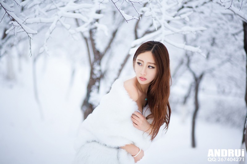 a24600475_s.jpg