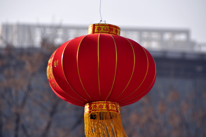DSC_0014_conew1.jpg