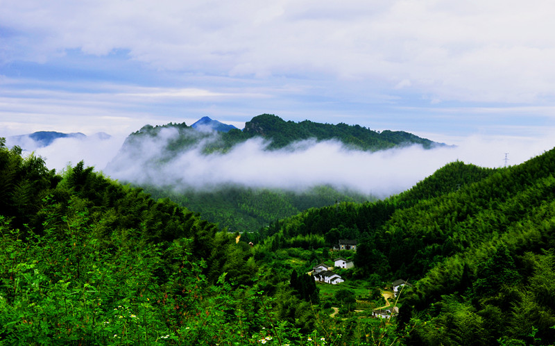 DSC_0157_副本.jpg