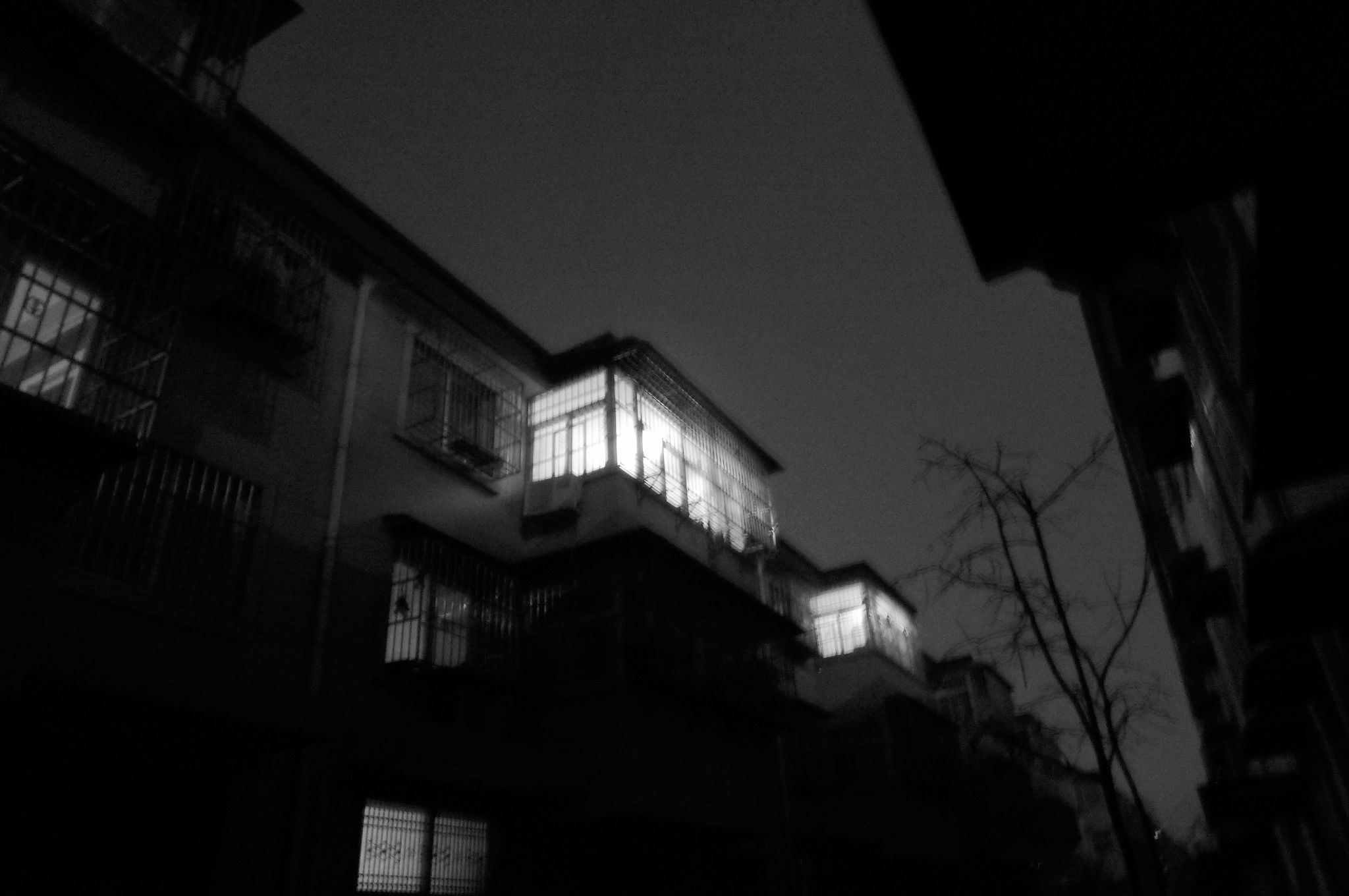 P1010650.JPG