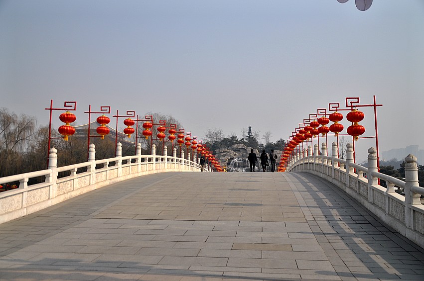 DSC_0005_conew1.jpg