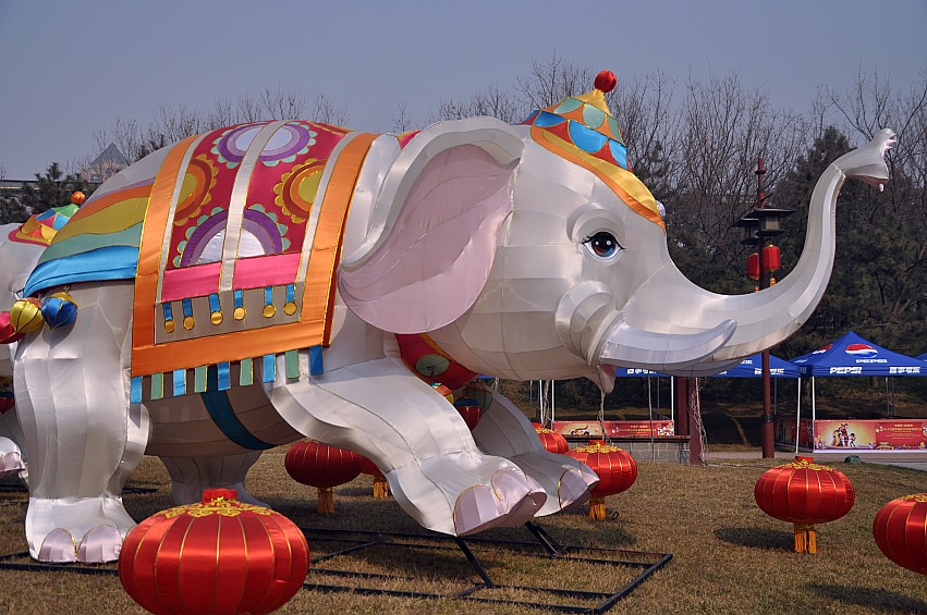 DSC_0055_conew1.jpg