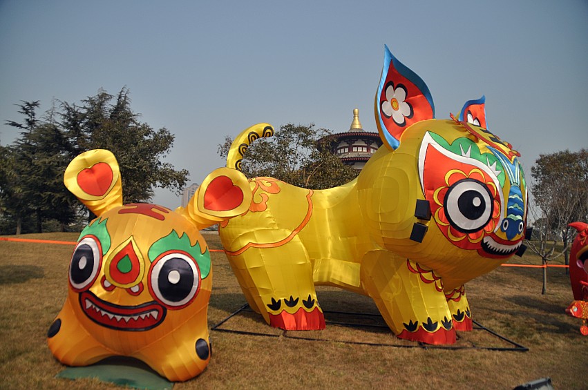 DSC_0073_conew1.jpg
