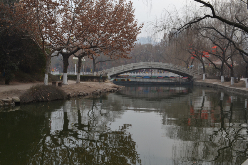 DSC_0162.jpg