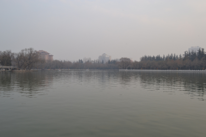 DSC_0170.jpg