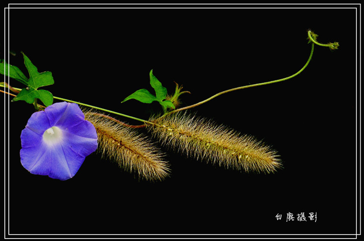 P1060653_副本.jpg