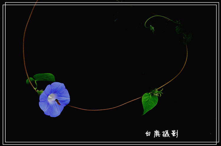 P1060249_副本.jpg