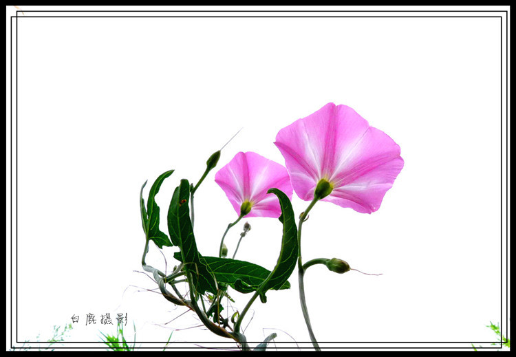 P1040592_副本.jpg