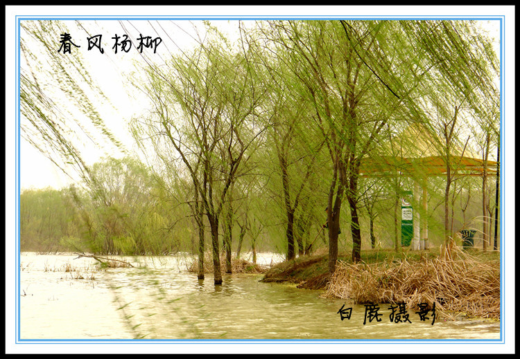 P1130921_副本.jpg