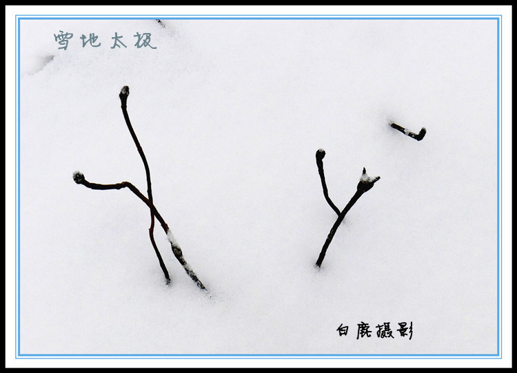 P1120460_副本.jpg