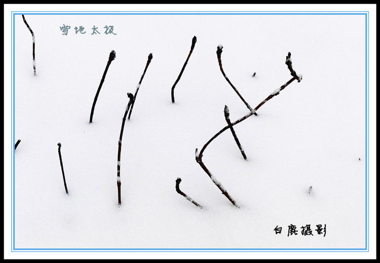 P1120461_副本.jpg