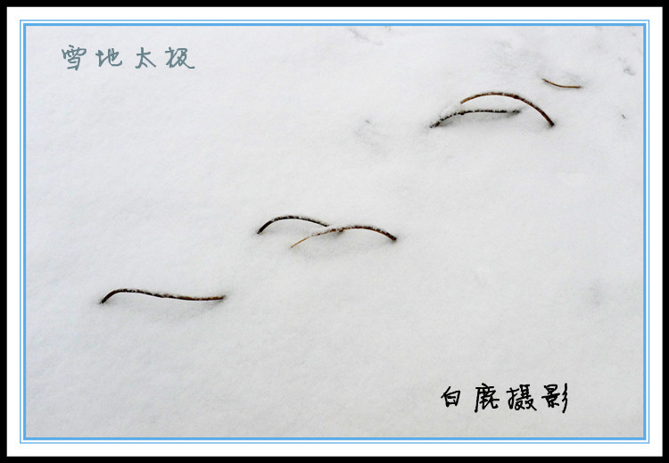 P1120449_副本.jpg