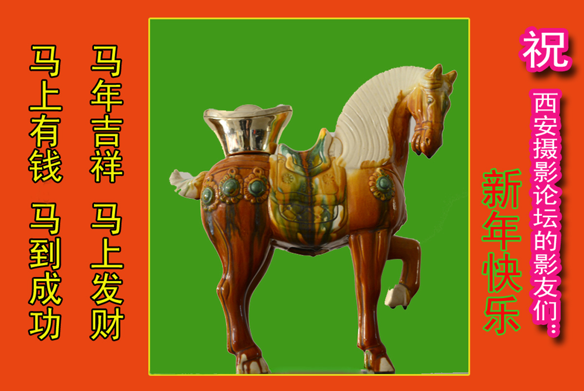 摄影论坛.jpg