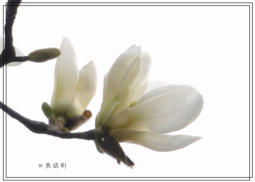 P1010810_副本.jpg