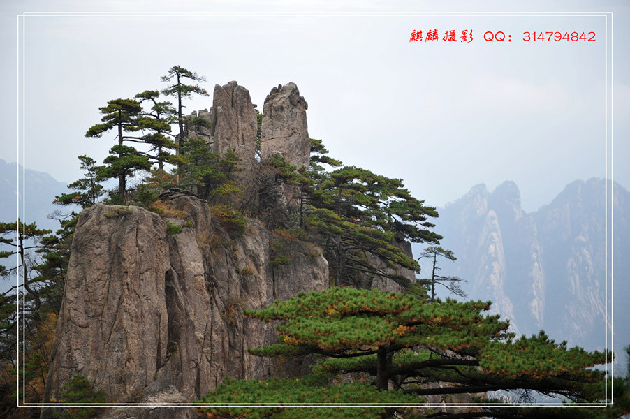 黄山游 346_副本.jpg