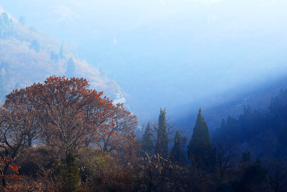 DSC_7484.JPG