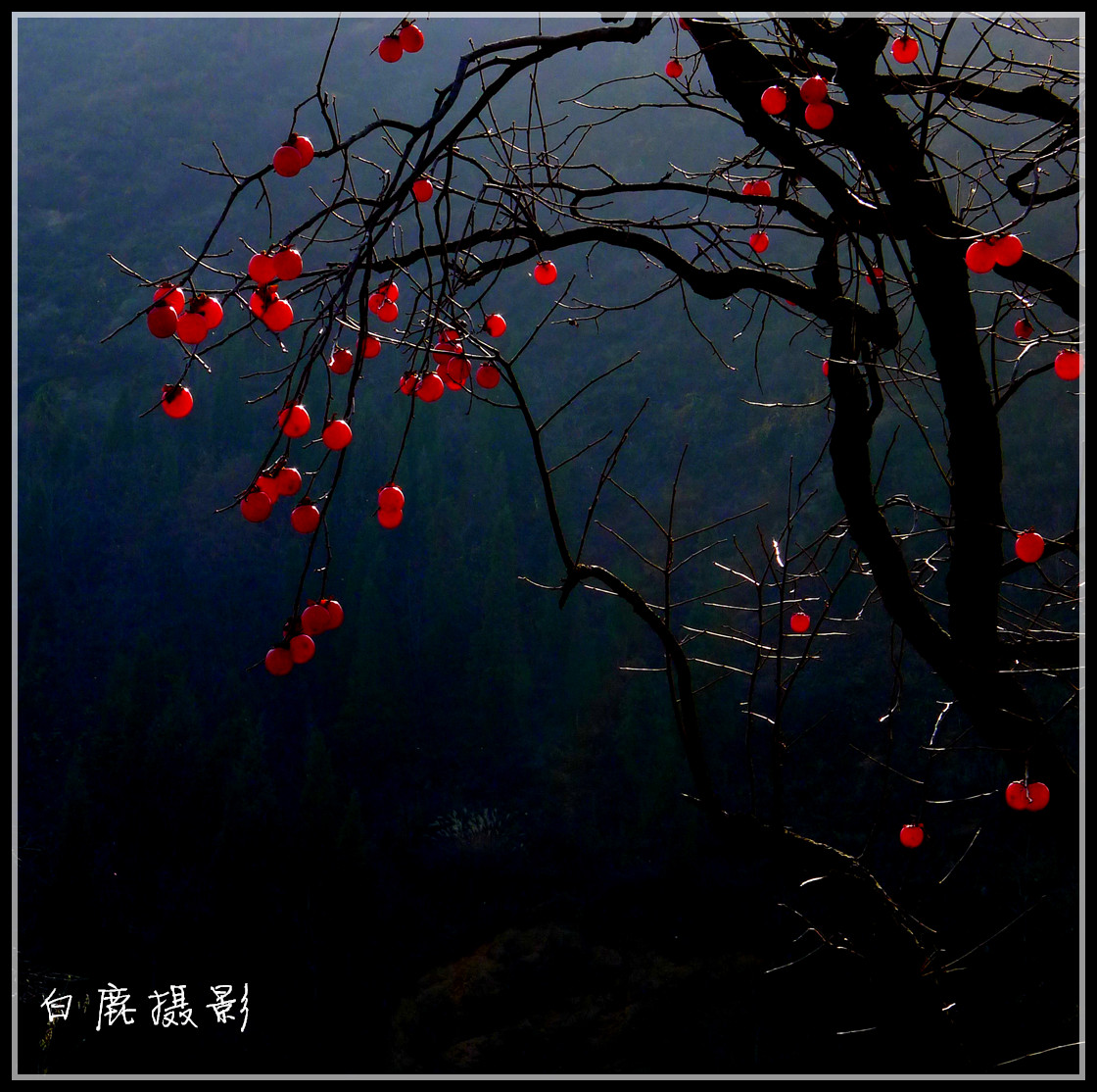 P1270782_副本.jpg