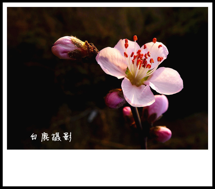 P1130400_副本.jpg
