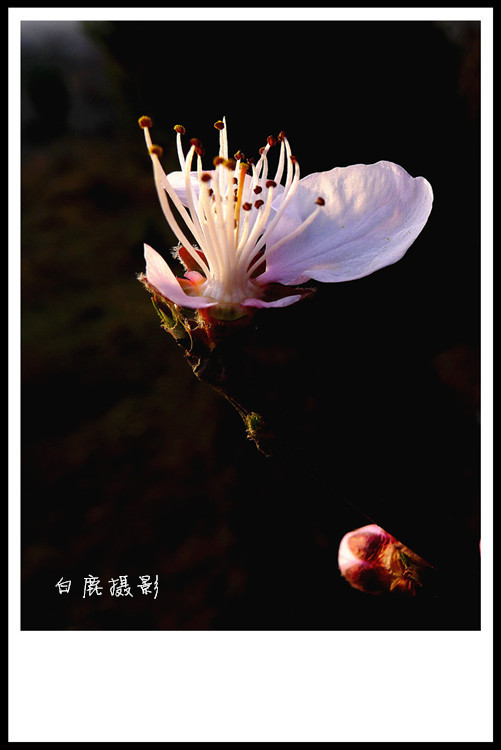 P1130397_副本.jpg