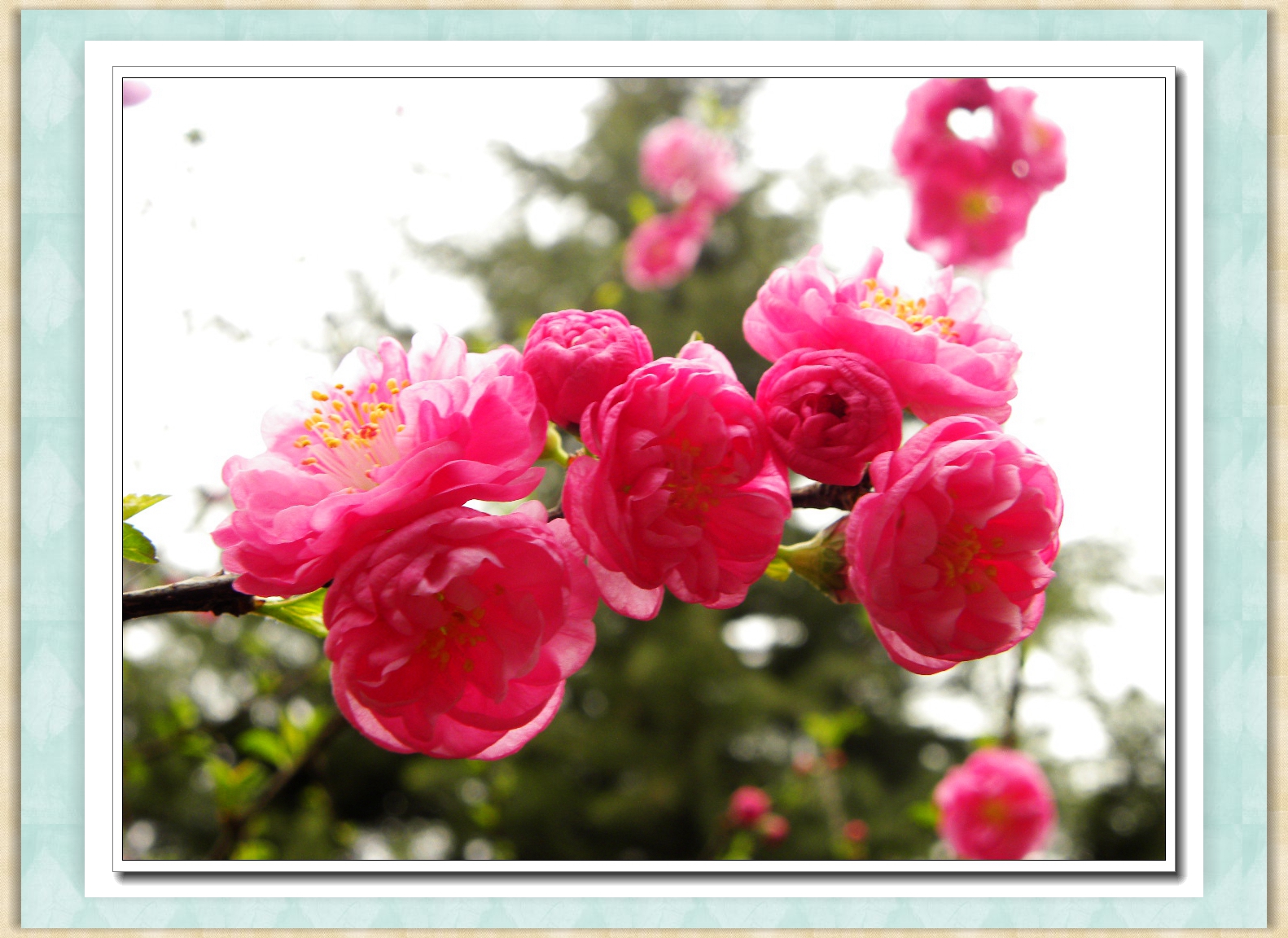 DSCN4560.JPG