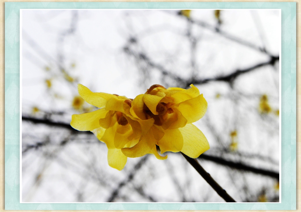 DSCN1825.JPG