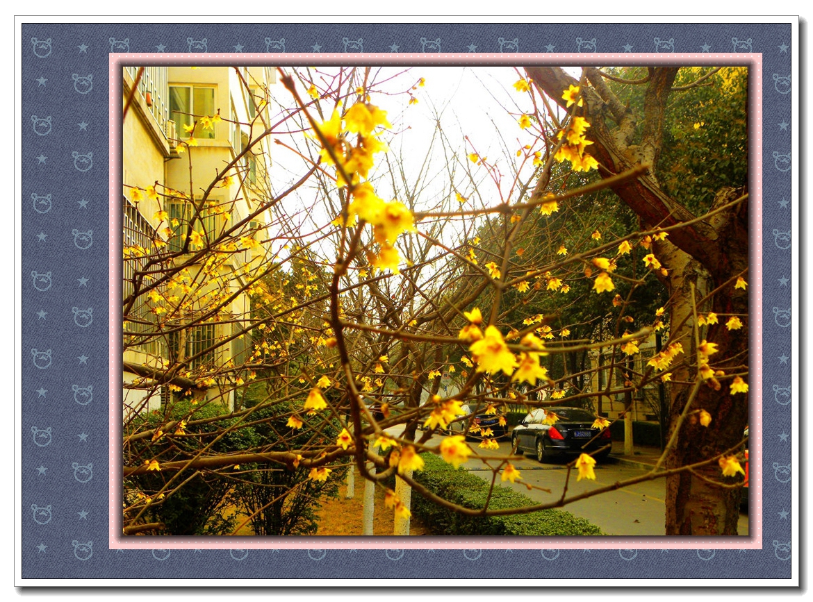 DSCN1986.JPG