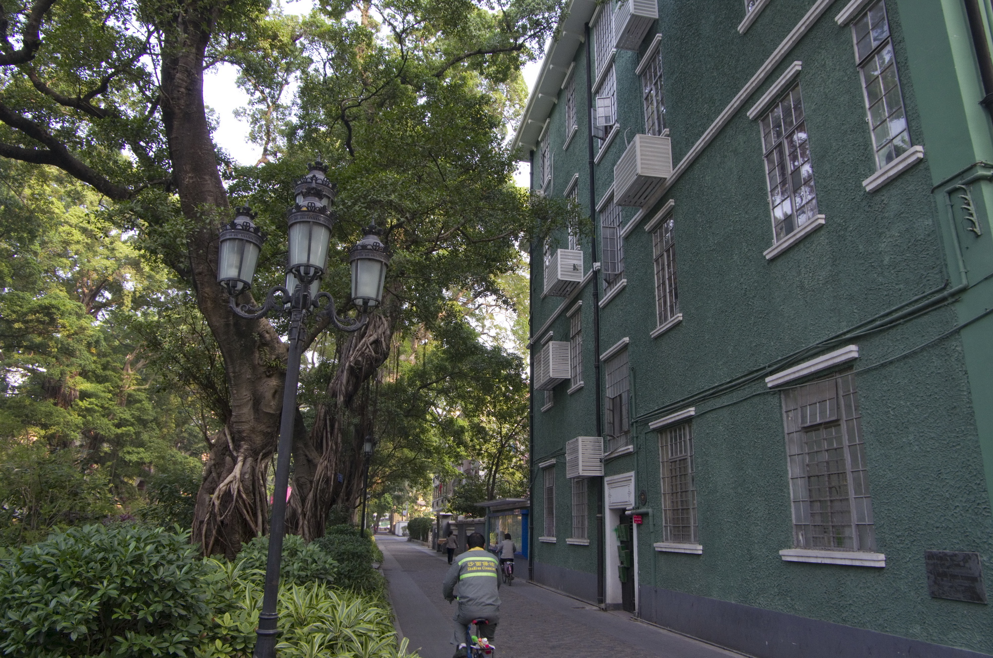 IMGP2473_调整大小.jpg