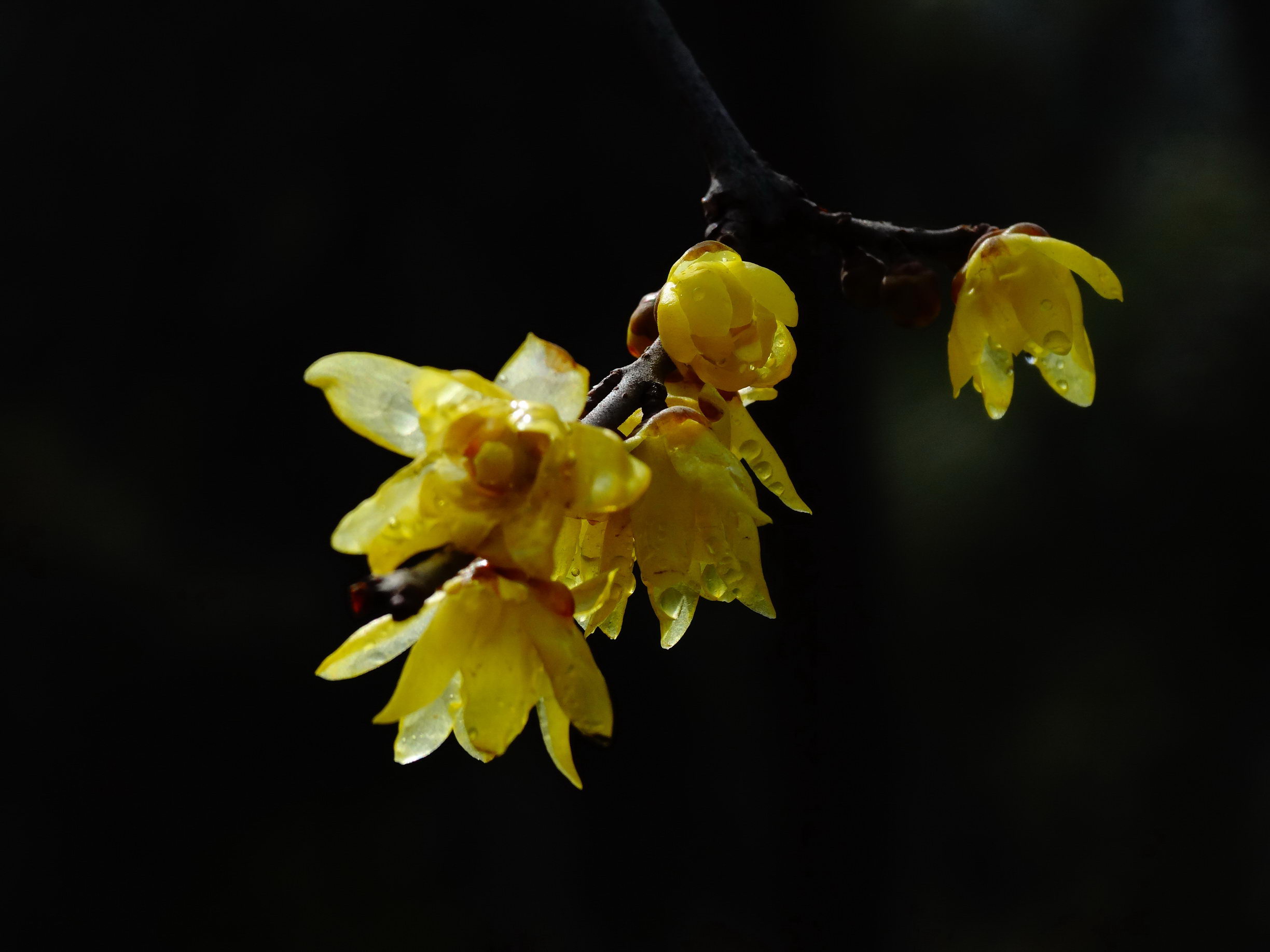 DSC09730_调整大小.jpg