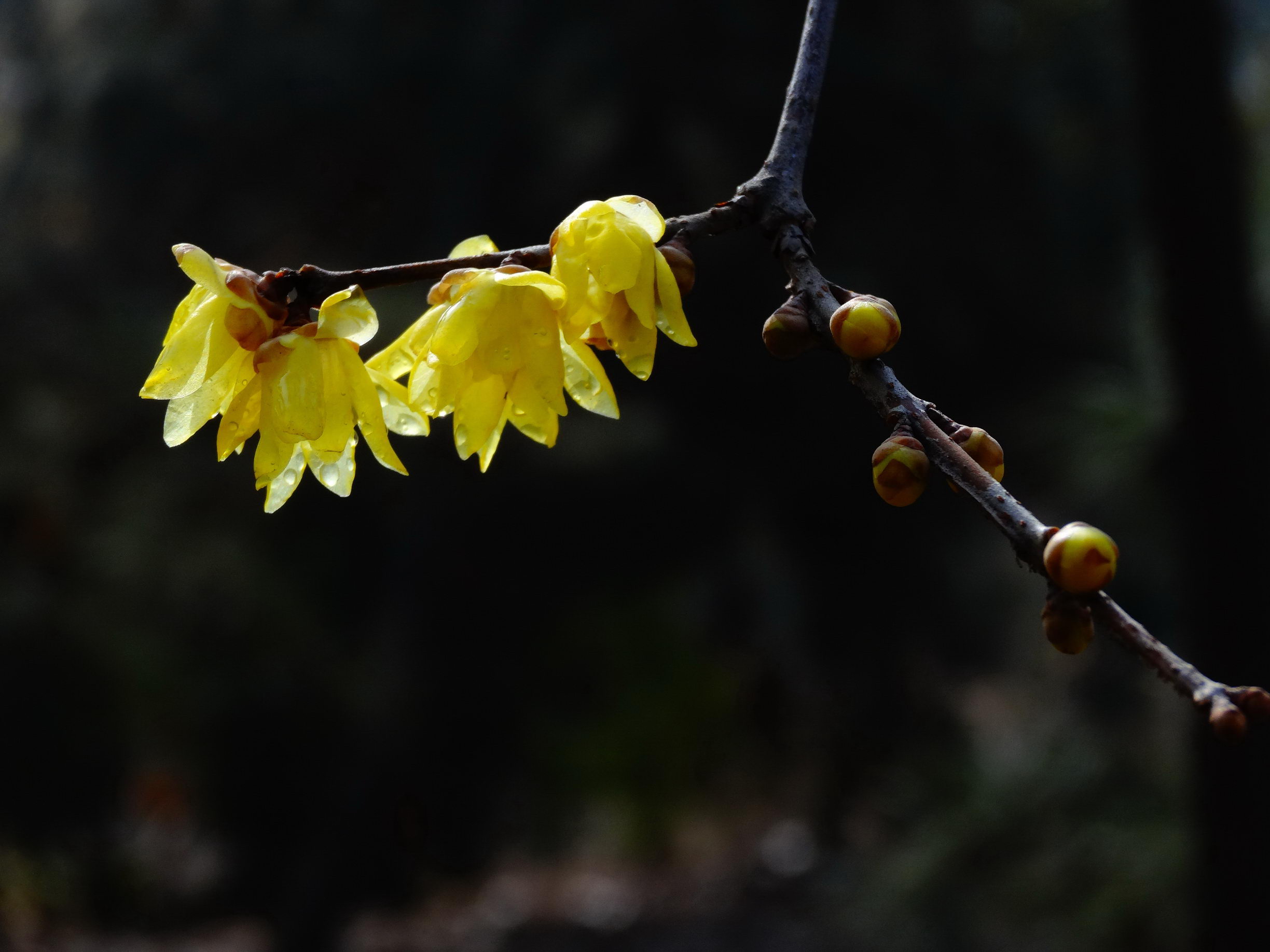DSC09732_调整大小.jpg