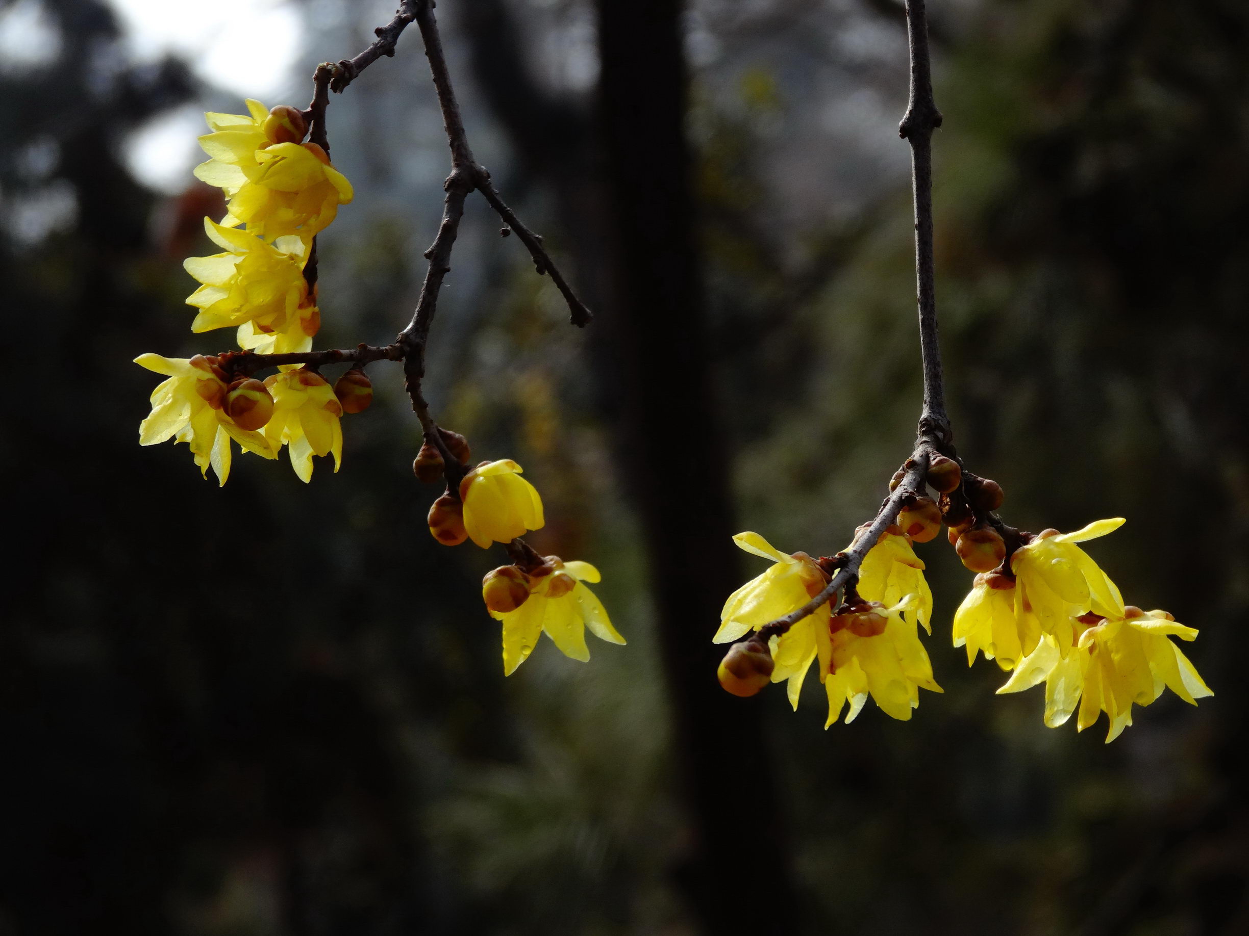 DSC09733_调整大小.jpg