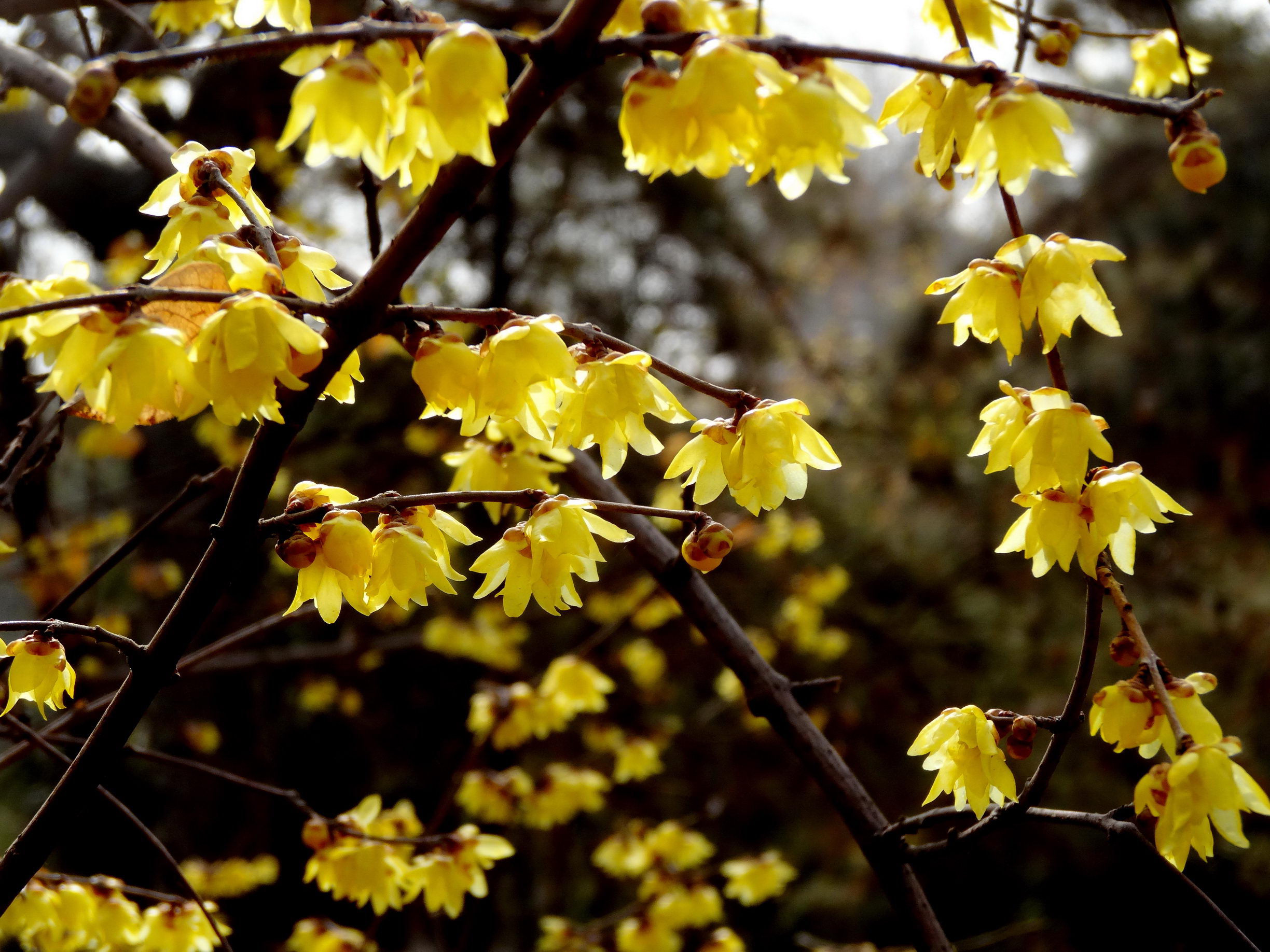 DSC09734A_调整大小.jpg
