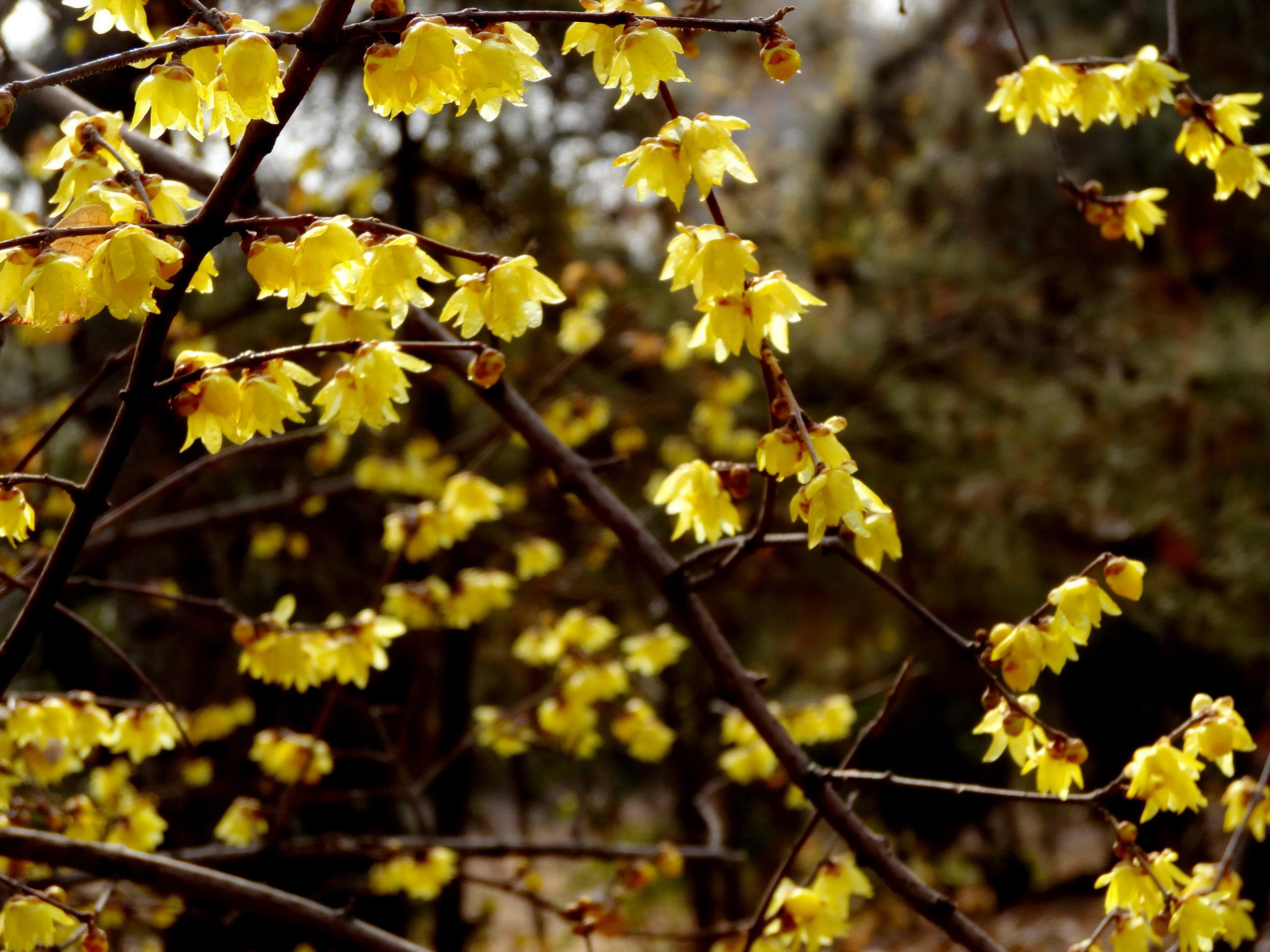 DSC09735A_调整大小.jpg
