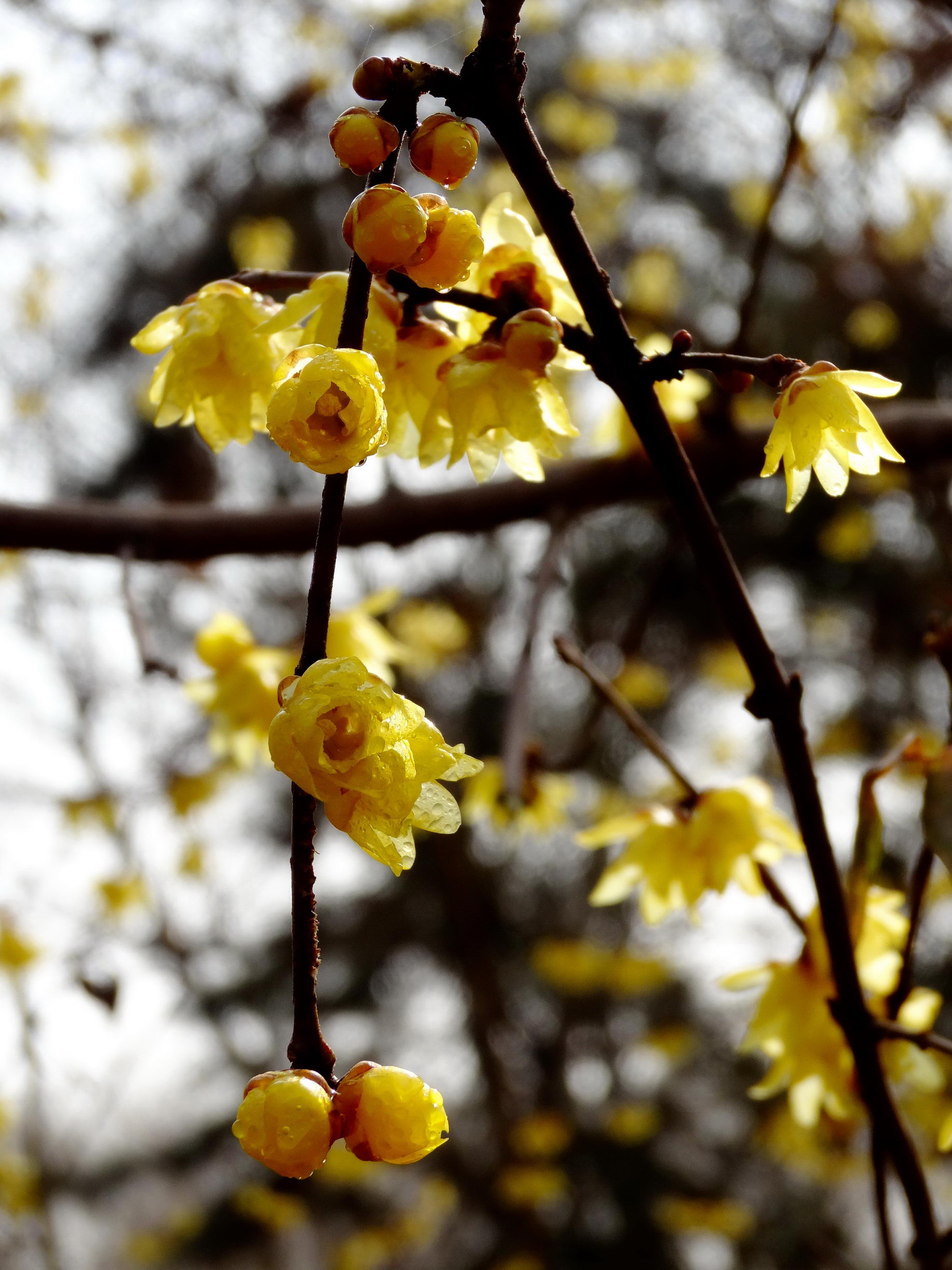 DSC09737A_调整大小.jpg
