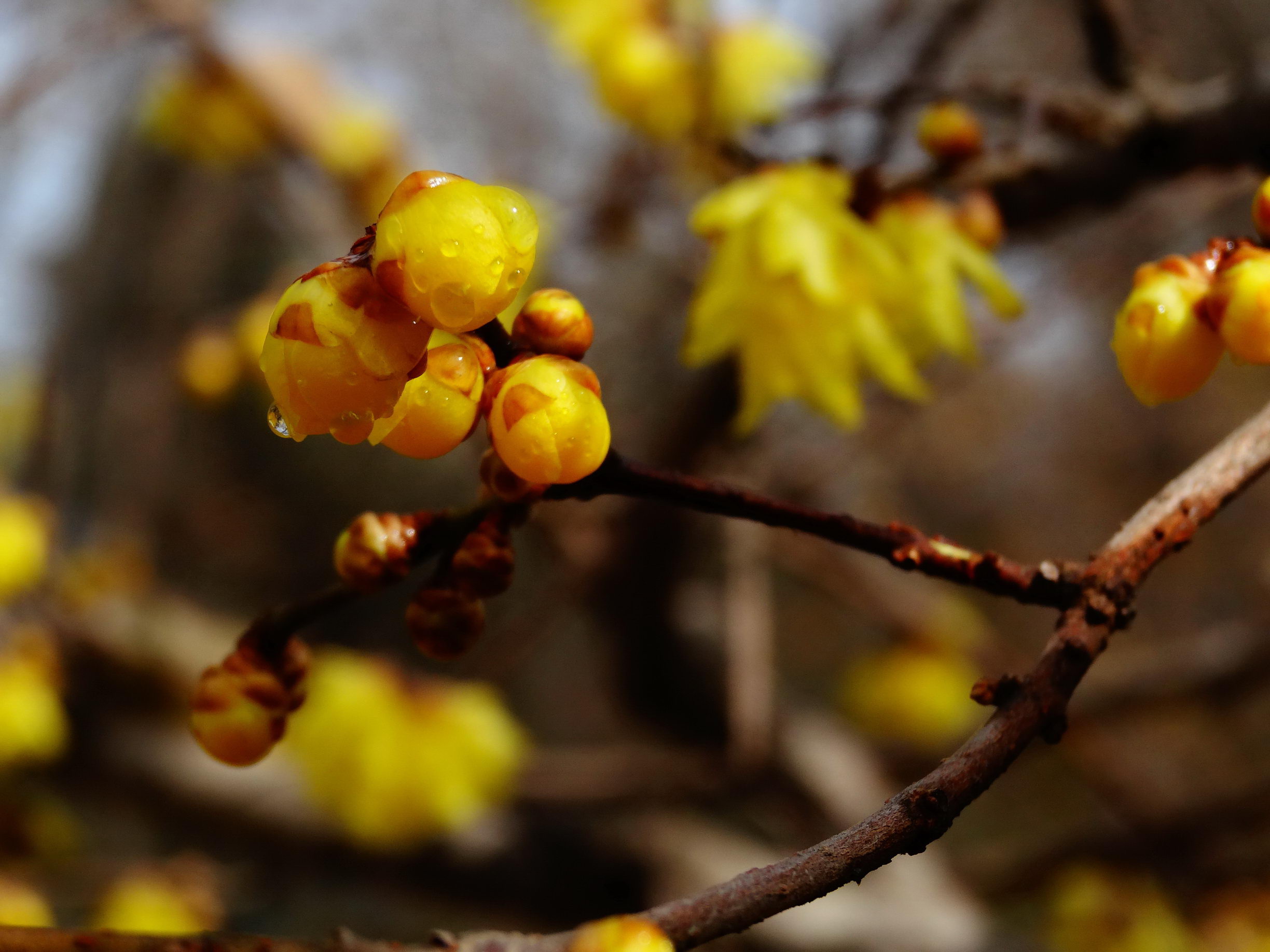 DSC09751A_调整大小.jpg