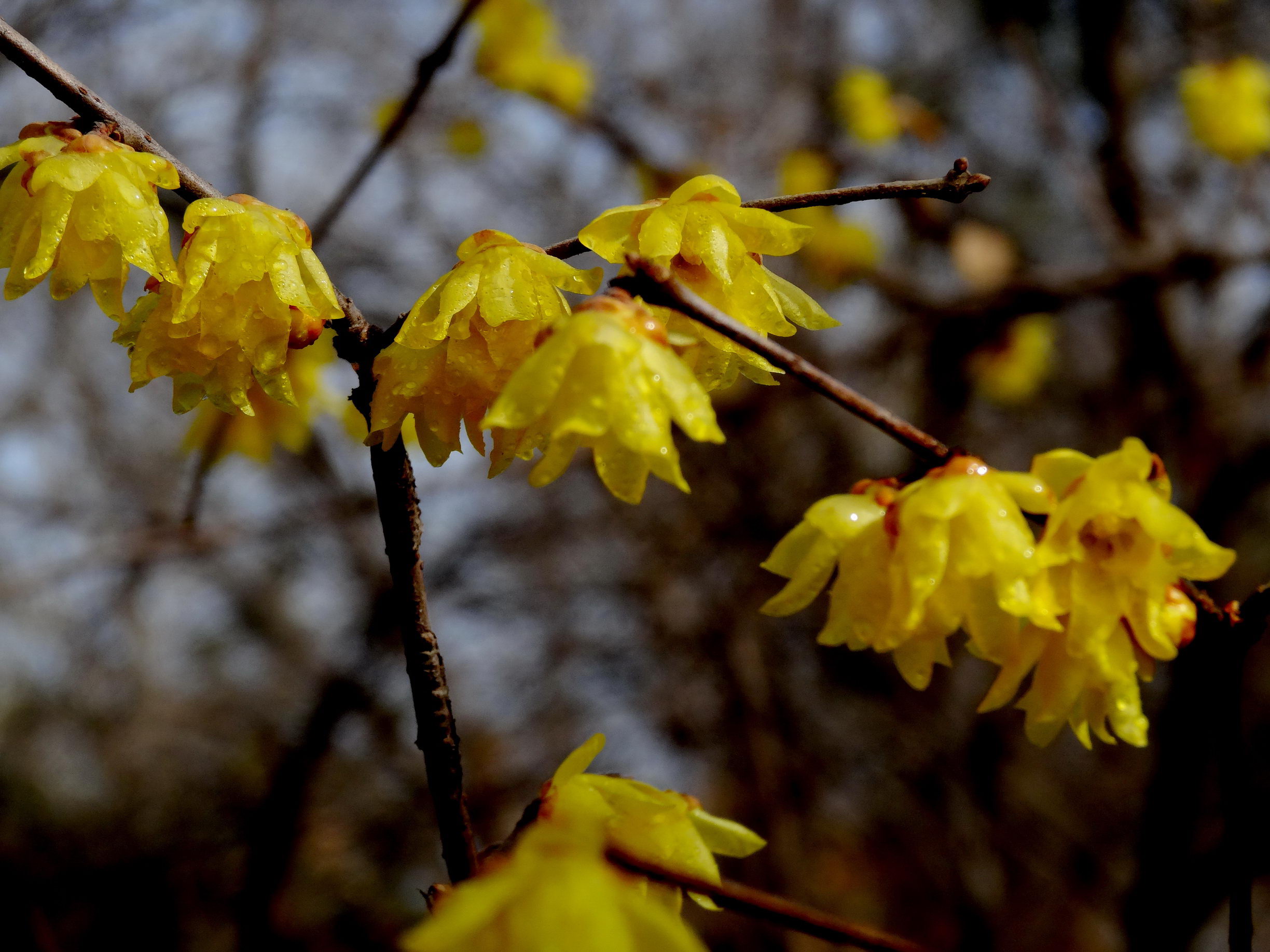 DSC09757A_调整大小.jpg