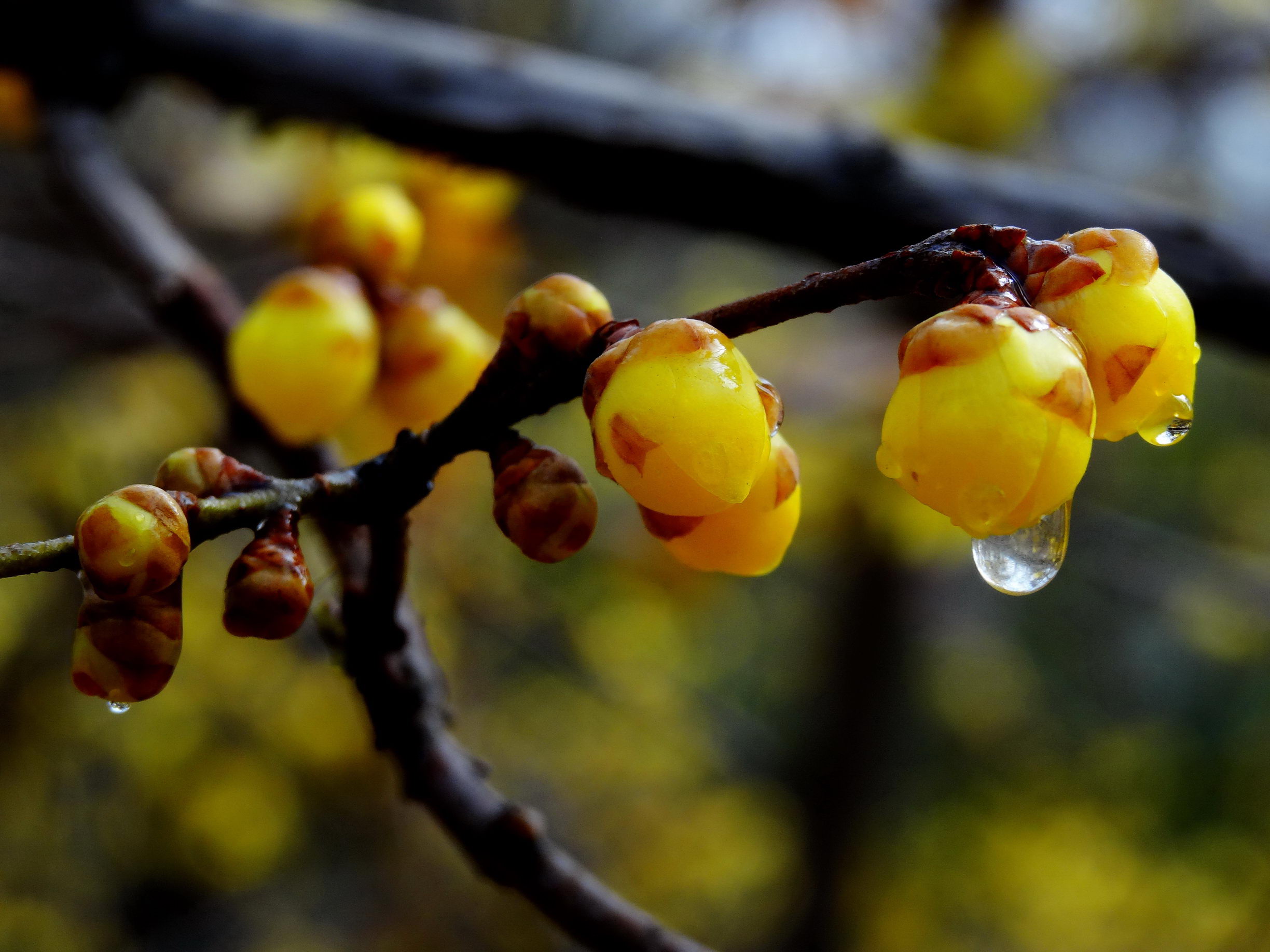 DSC09769工_调整大小.jpg