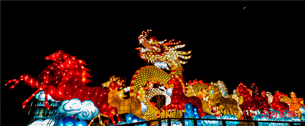 2014年大唐芙蓉园新春灯会 (37).jpg