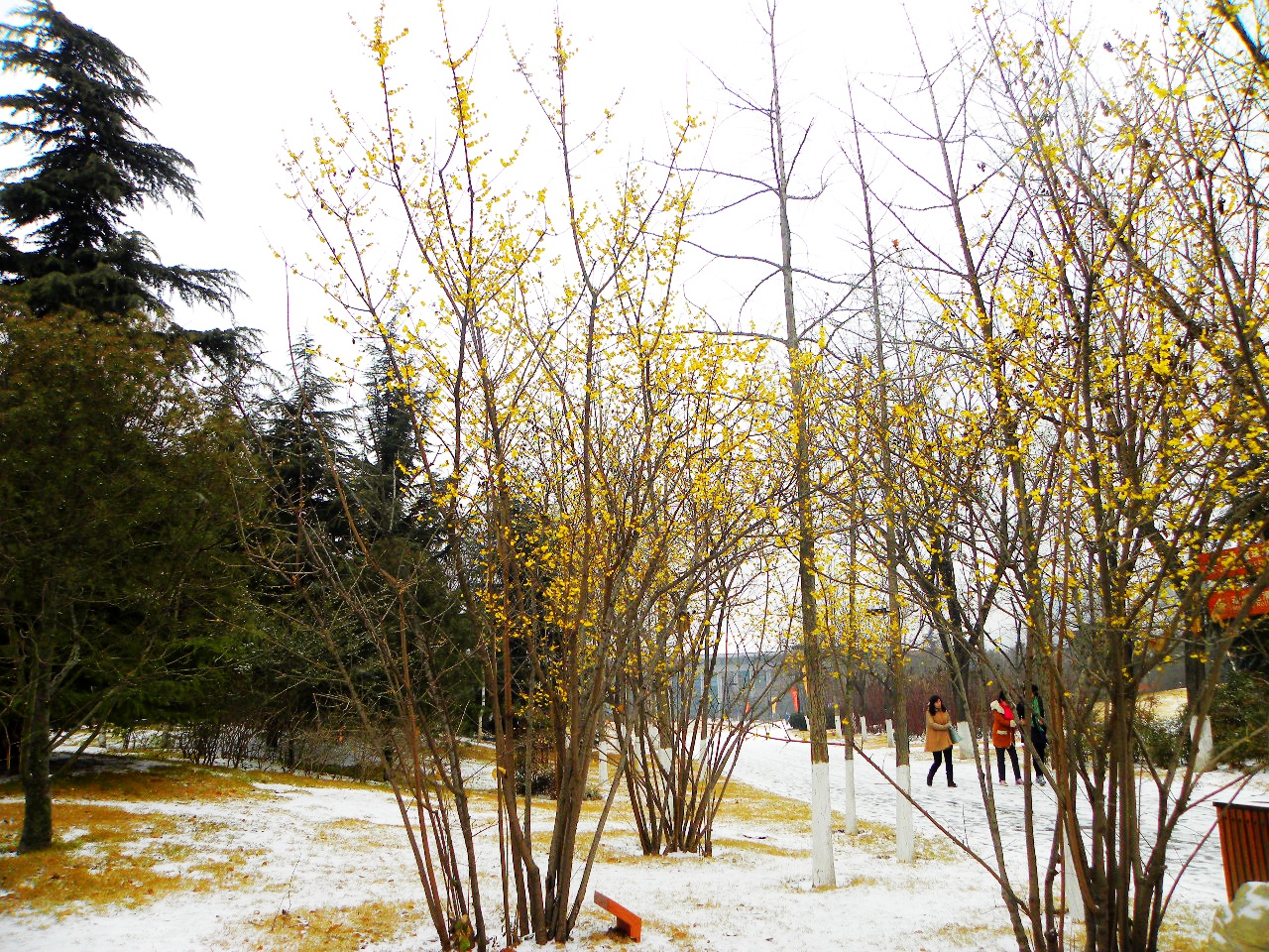 DSCN2151.JPG