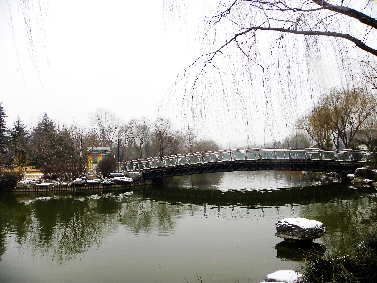DSCN2163.JPG