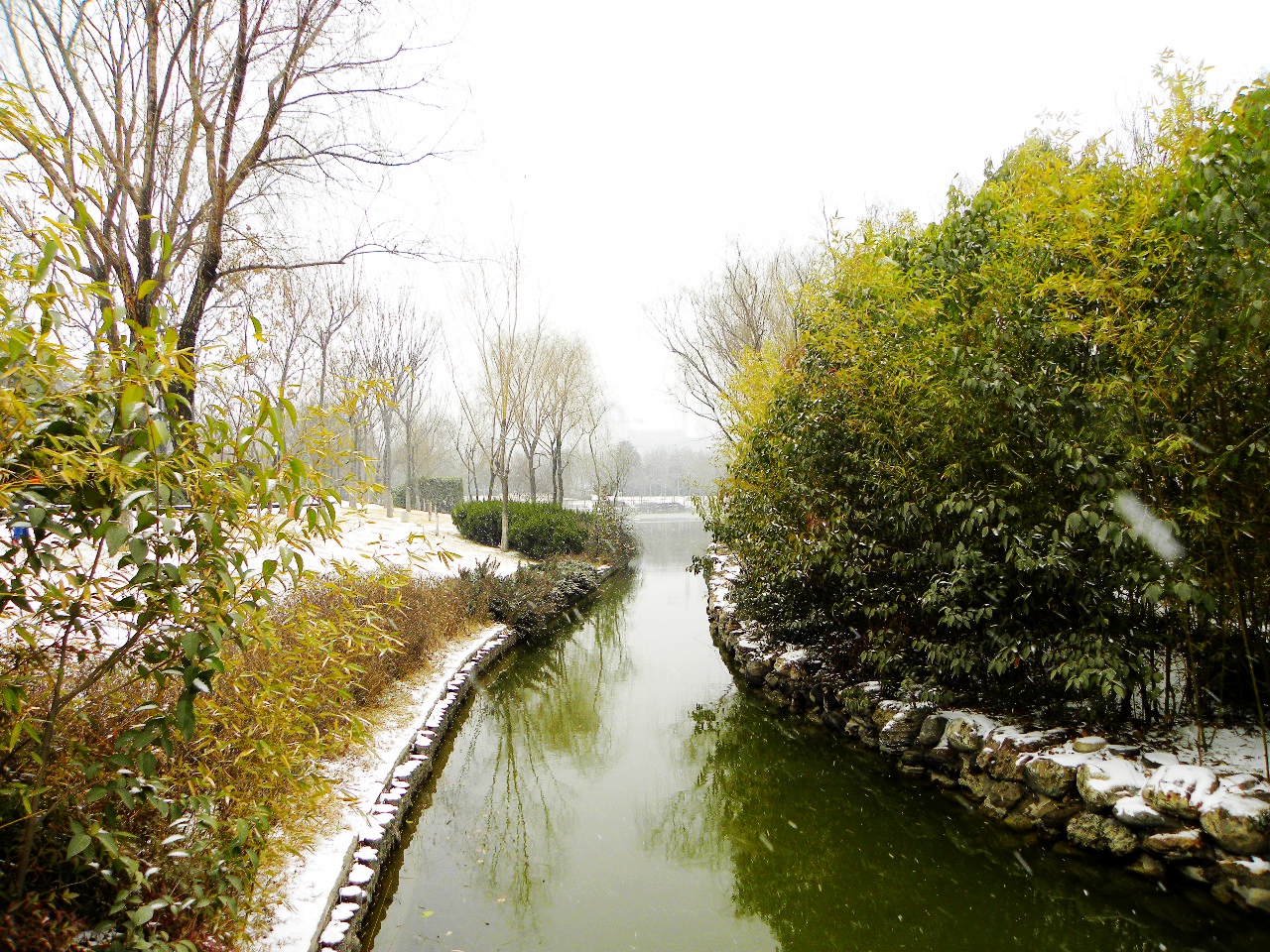 DSCN2223.JPG