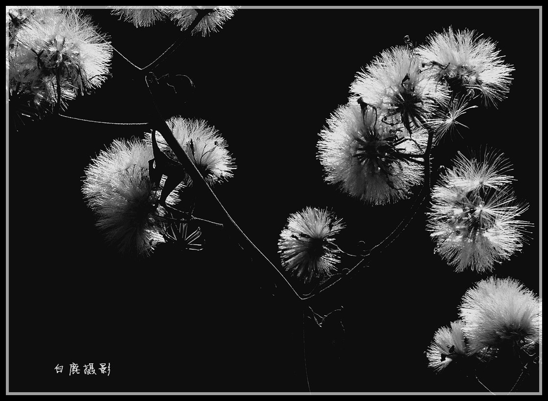 P1280117_副本.jpg