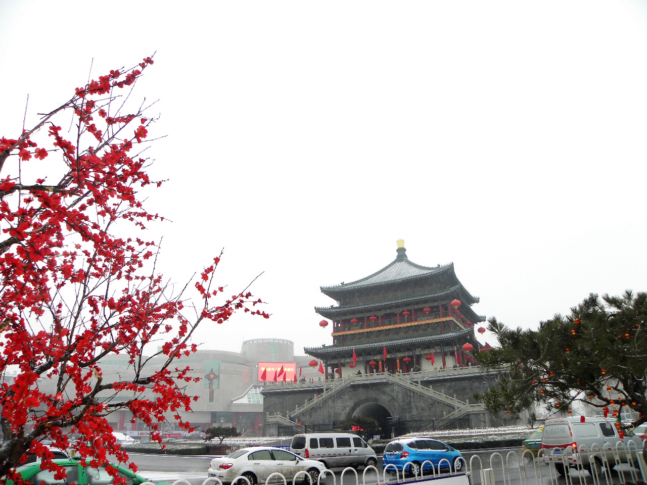 DSCN2259.JPG