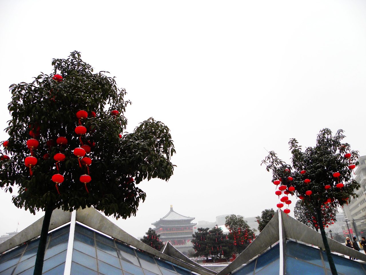 DSCN2280.JPG