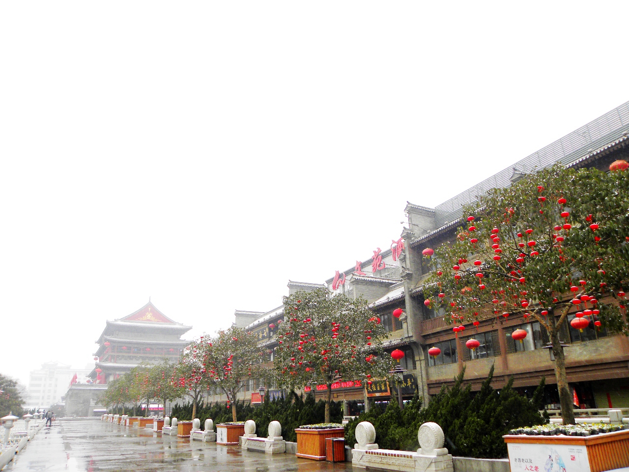 DSCN2282.JPG